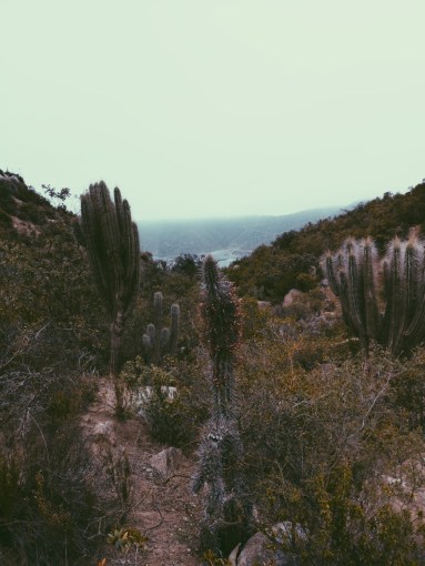 Processed with VSCO with p5 preset