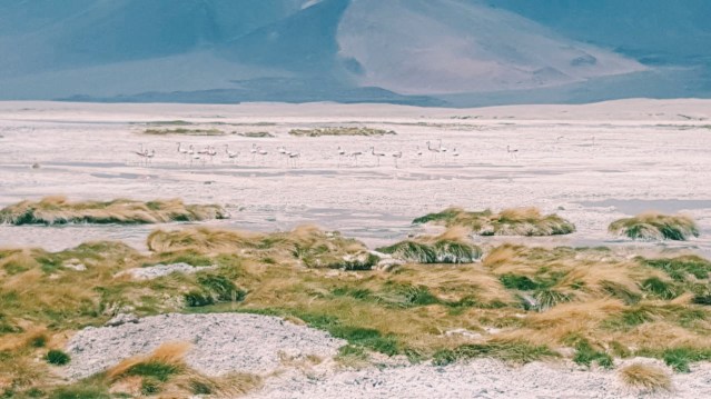 Processed with VSCO with c1 preset