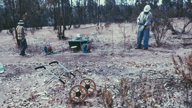 2019-01-28 09.39.00 2.jpg