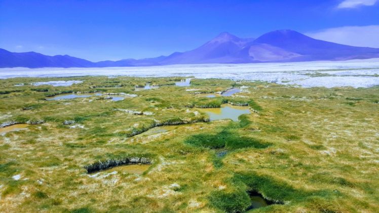 c919f728-77f2-4c4e-816c-03a9985ecd9c